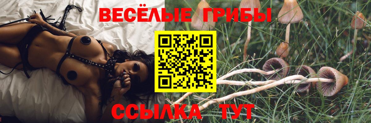 Галлюциногенные грибы Magic Shrooms  Вход с VPN  Псилоцибиновые грибы ЛСД  Озёрск 