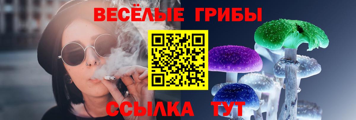 Галлюциногенные грибы прущие грибы Озёрск